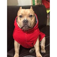 寵物頭層牛皮狗狗牽引繩小中大型犬狗鏈訓練繩馬犬拉布拉多金毛狗繩牽引繩 歷史價格詳細信息