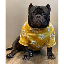 火熱OL！親親誘人小秘書服 歷史價格詳細信息