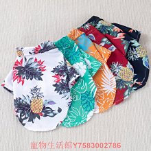 緬因貓衣服小貓咪拜新年龍年過冬天舞獅公貓帥氣緬因加厚紅色2024 歷史價格詳細信息