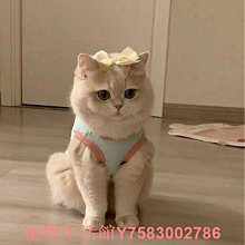 貓咪衣服四腳防掉毛睡衣春秋季英短藍貓布偶貓幼貓寵物狗狗家居服 歷史價格詳細信息