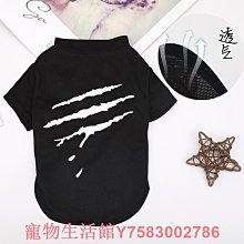 23夏休閒百搭套裝女翻領短袖牛仔襯衫鬆緊高腰寬版短褲兩件套 歷史價格詳細信息