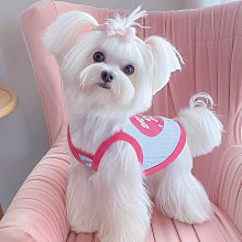 夏季狗狗馬鞍式胸背中小型犬寵物牽引繩防爆沖不勒脖防掙脫可調節 歷史價格詳細信息