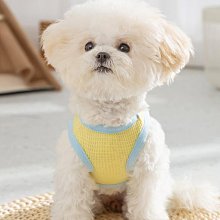 狗狗衣服夏季薄款寵物小狗小型犬泰迪比熊帶牽引夏天薄款背心裙子【雅怡尚品】 歷史價格詳細信息