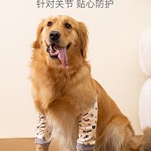 狗狗護肘衣 受傷金毛柴犬秋田中大型犬保護前腿防舔舐 透氣棉衣服 歷史價格詳細信息