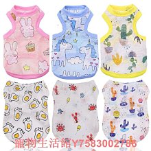 寵物狗狗衣服中型小型犬背心式牽引繩狗繩泰迪狗鏈子遛狗繩寵物胸背帶牽引繩 歷史價格詳細信息