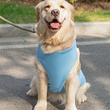 狗狗窩夏季清涼大型犬金毛薩摩耶邊牧四季通用床可拆洗寵物用品-雙喜生活館 歷史價格詳細信息
