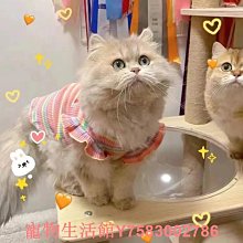 春夏季透氣薄款金屬標女顯臉小可反戴前進帽日係帽子 歷史價格詳細信息