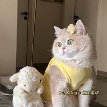 貓咪衣服春秋防掉毛布偶春款寵物小貓四腳斷奶貓貓護肚衣夏季薄款【雅怡尚品】 歷史價格詳細信息