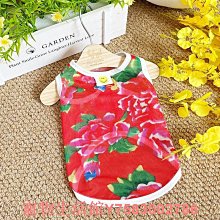 新款樹熊防走失背包 簡約卡通可愛樹熊背包 兒童可愛小背包 歷史價格詳細信息