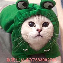 貓咪衣服秋冬款新年龍裝英短布偶貓喜慶拜年寵物狗狗新年霸氣龍裝 歷史價格詳細信息