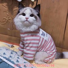 貓咪衣服四腳防掉毛睡衣春秋季英短藍貓布偶貓幼貓寵物狗狗家居服 價格比較,價格查詢,歷史價格詳細信息