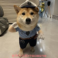 搞笑寵物變身裝 寵物貓咪狗狗搞怪衣服變裝(4號)_☆找好物FINDGOODS☆ 歷史價格詳細信息