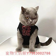 港版 寵物小精靈 口袋妖怪 寶可夢 電影 歷史價格詳細信息