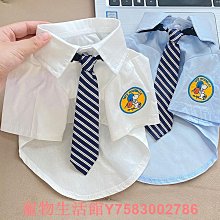 小瑞熊腰帶式造口袋二件式直改道造瘻袋大便袋非黏貼肛道口袋 歷史價格詳細信息