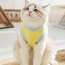 夏咪衣服薄款小貓幼貓防掉毛矮腳貓藍貓布偶背心夏季狗狗衣服 歷史價格詳細信息