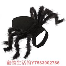 多樂貓 2024 生日 B2 掛軸 歷史價格詳細信息