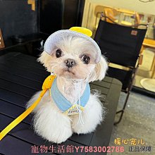 寵物牽引繩狗狗貓咪衣服背心式寵物胸揹帶中小型狗狗牽引繩遛狗繩 寵物用品 寵寵屋 歷史價格詳細信息