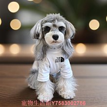 狗狗衣服 夏天透氣薄款 泰迪柯基博美柴犬比熊小型犬寵物夏季 歷史價格詳細信息