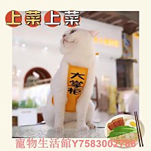 比打工度假更重要的11件事：出國前先給自己這份人生問卷[二手書_普通]7526 TAAZE讀冊生活 歷史價格詳細信息