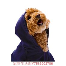 寵物新年秋冬季衣服外出帶牽引扣大中小型犬泰迪狗狗貓咪服飾用品 歷史價格詳細信息
