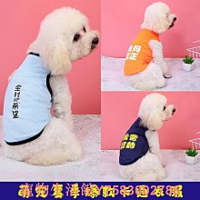 透氣 寵物衣服 夏季薄款 InnoPet 狗狗衣服 滌綸材質 防掉毛 法鬥衣服 歷史價格詳細信息