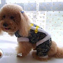 四季褲中國舞蹈練功服女舞蹈褲古典舞蹈練功褲闊腿褲舞褲子 歷史價格詳細信息