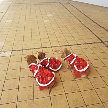 喜氣洋洋 包屁衣 恭喜發財 過年 男女童適穿 拜年祝賀最佳款 加絨 加厚款 歷史價格詳細信息