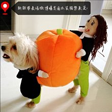 搞笑寵物變身裝 寵物貓咪狗狗搞怪衣服變裝(4號)_☆找好物FINDGOODS☆ 歷史價格詳細信息