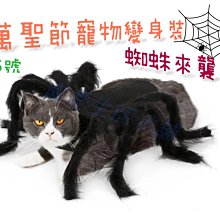 附發票！【寵愛生活本舖】-9號~11號賣場-寵物中筒拉鍊式縮口休閒犬鞋 不掉 狗鞋 大狗鞋 小狗鞋 寵物鞋 歷史價格詳細信息