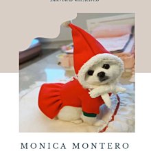 聖誕服飾 小中大童 聖誕女孩男孩裝(贈聖誕襪) 造型服飾【蘋果小舖】(MC) A7 1911 ++12/31 歷史價格詳細信息