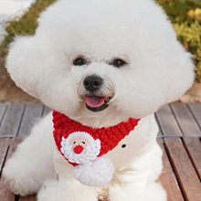 寵物貓貓圍脖裝飾泰迪狗狗項圈小型犬貓項鏈貓咪脖圈可愛貓圈狗圈 歷史價格詳細信息