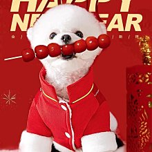 博古花卉四條屏絲綢畫卷軸畫客廳字畫臥室掛畫花鳥畫酒店壁畫國畫 歷史價格詳細信息