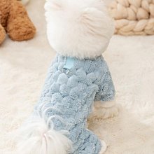 小狗狗四腳絨衣秋冬季泰迪比熊博美雪納瑞貓咪小型犬寵物衣服秋裝 歷史價格詳細信息