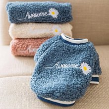 秋冬仿絨花可愛南瓜兒童天然檀木髮簪漢服盤髮簪子女古風宋制配飾 歷史價格詳細信息