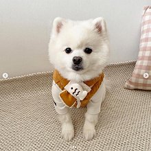 小花寵物衣服秋冬經典撞色寵物衣服狗狗衣服貓咪衣服狗衣服貓衣服寵物衣狗衣貓衣寵物服飾寵物用品 歷史價格詳細信息