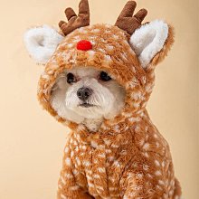 小型犬冬衣、牽繩 歷史價格詳細信息