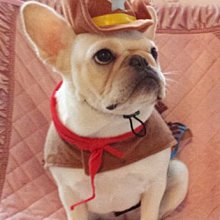 cosplay軍警/海巡 頭盔/(便)帽 歷史價格詳細信息