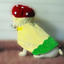 蘑菇寵物園木制亞克力狗圍欄狗柵欄自由拼接比熊專用室內透明狗籠 歷史價格詳細信息