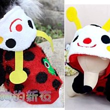 ＊狗狗的新衣＊~弟弟用／公狗用／「ＧＧ帶」「禮貌帶」－藍白海軍圖案～現貨：Ｓ號－加強止滑 （結束營業—庫存出清） 歷史價格詳細信息