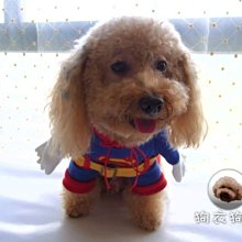 狗衣狗服│cute巴洛克風貴族奢華水鑽愛心項鍊-粉紅色 歷史價格詳細信息