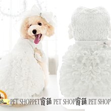 寵舖 中壢寵物精品店批發零售【寵物玩具乳胶玩具 6款蔬菜水果系列MINI】BIBI好玩 歷史價格詳細信息