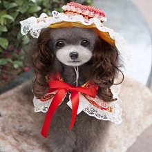 ۞芙芙遊樂園۞BLACKWOOD 柏萊富 4.5磅功能性全齡犬滋補養生 全齡腸胃保健配方 全齡護膚亮毛配方鯰魚 特調全齡犬 羊肉+糙米+雞肉 WDJ推薦 飼料 歷史價格詳細信息