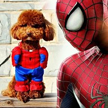 寵物衣服 動物造型法蘭絨變身衣 四腳衣 連帽衣 狗衣服 貓衣服 法蘭絨 鈕扣 套頭 保暖 萌 防寒 寵物裝 秋冬新款 歷史價格詳細信息