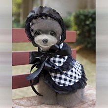 ۞芙芙遊樂園۞BLACKWOOD 柏萊富 4.5磅功能性全齡犬滋補養生 全齡腸胃保健配方 全齡護膚亮毛配方鯰魚 特調全齡犬 羊肉+糙米+雞肉 WDJ推薦 飼料 歷史價格詳細信息