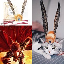 ۞芙芙遊樂園۞BLACKWOOD 柏萊富 4.5磅功能性全齡犬滋補養生 全齡腸胃保健配方 全齡護膚亮毛配方鯰魚 特調全齡犬 羊肉+糙米+雞肉 WDJ推薦 飼料 歷史價格詳細信息