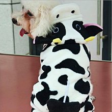 哞哞牛點讀筆(16G)-搭配全方位兒童基礎百科/5Q七巧故事屋/世界成功偉人傳記/小湯姆與尤利先生4書/美語成語圖卡 歷史價格詳細信息