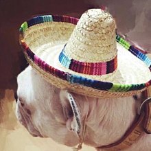 ۞芙芙遊樂園۞BLACKWOOD 柏萊富 4.5磅功能性全齡犬滋補養生 全齡腸胃保健配方 全齡護膚亮毛配方鯰魚 特調全齡犬 羊肉+糙米+雞肉 WDJ推薦 飼料 歷史價格詳細信息