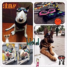狗狗太陽鏡寵物拍照眼鏡可愛英短貓咪墨鏡裝扮搞怪幼犬貓萌寵飾品 歷史價格詳細信息