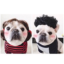 ۞芙芙遊樂園۞BLACKWOOD 柏萊富 4.5磅功能性全齡犬滋補養生 全齡腸胃保健配方 全齡護膚亮毛配方鯰魚 特調全齡犬 羊肉+糙米+雞肉 WDJ推薦 飼料 歷史價格詳細信息