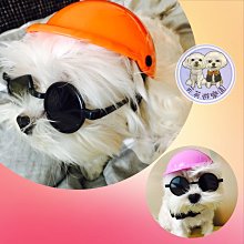 ۞芙芙遊樂園۞BLACKWOOD 柏萊富 4.5磅功能性全齡犬滋補養生 全齡腸胃保健配方 全齡護膚亮毛配方鯰魚 特調全齡犬 羊肉+糙米+雞肉 WDJ推薦 飼料 歷史價格詳細信息